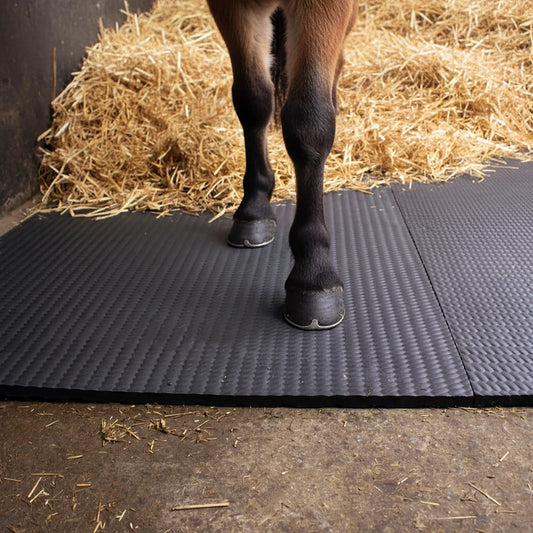 Horse Stable Floor Mats EVA 6ft x 4ft Cushioned Anti Fatigue Equine Matting
