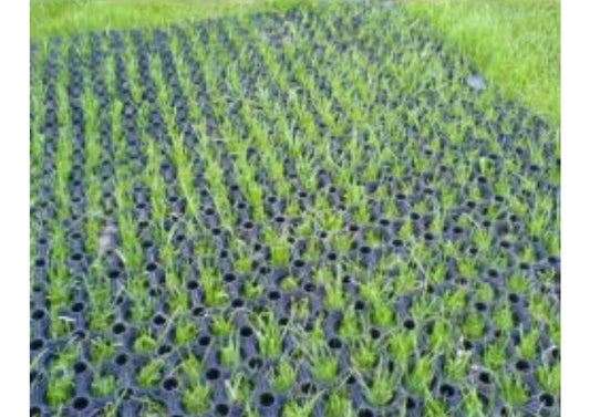 The Shopfitting Shop Heavy Duty Rubber Grass Mat 1.5m x 1m x 23mm